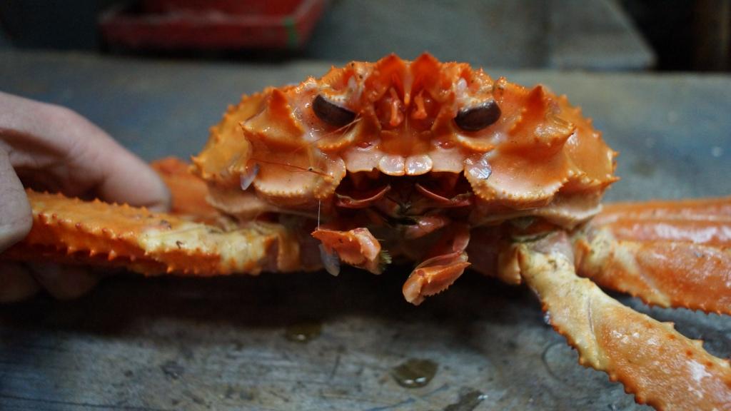 05092022 crab22
