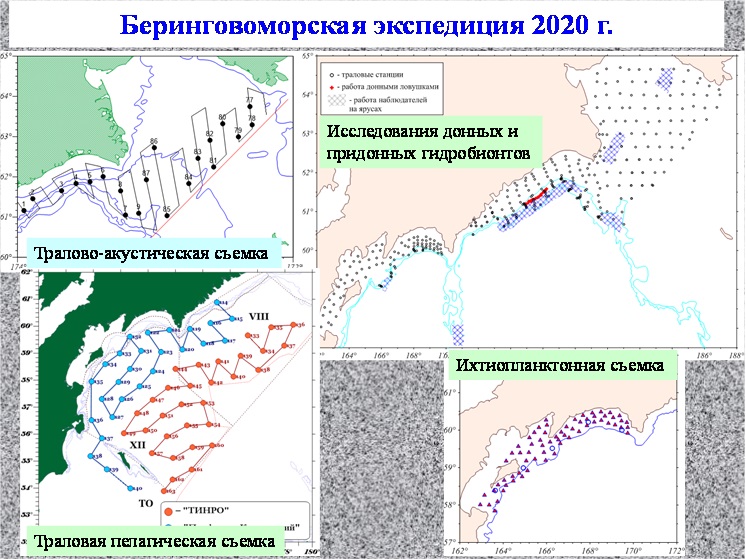 беринговомрская экспедиция