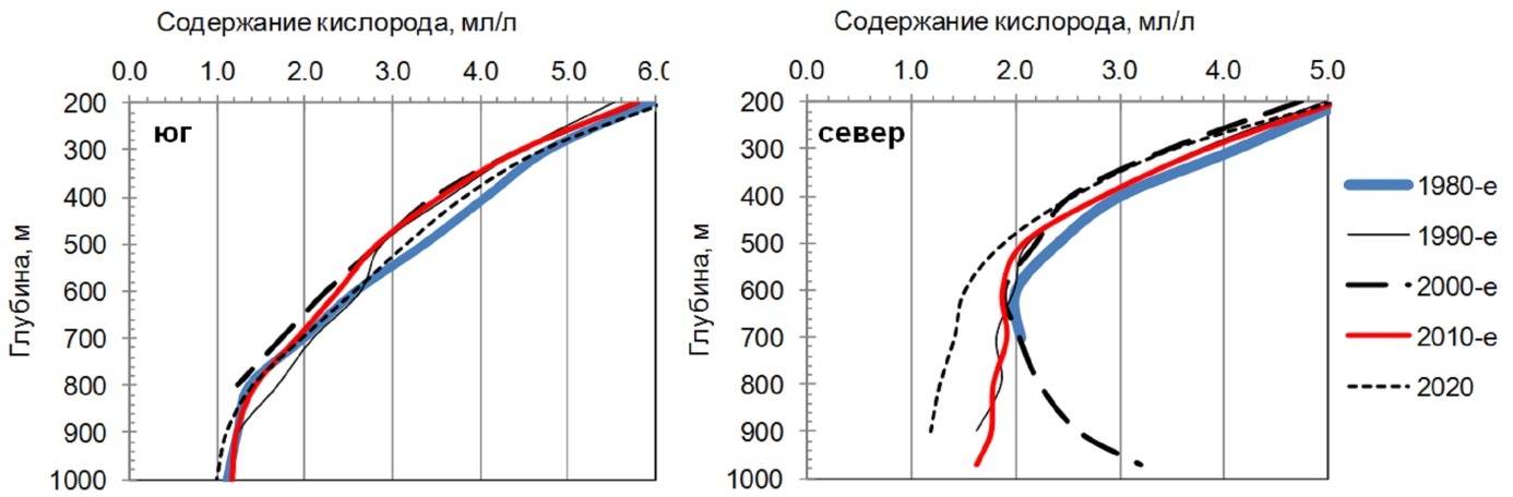 палтусы 2
