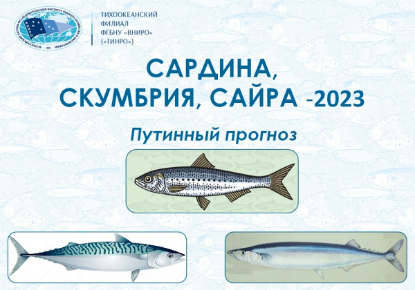 Перспективы пелагической путины 2023 года: в уловах будет преобладать сардина