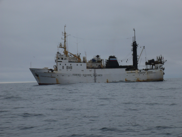 Сезон морских исследований в разгаре