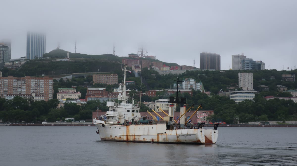В Охотском море исследуют китоообразных