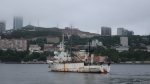 В Охотском море исследуют китоообразных