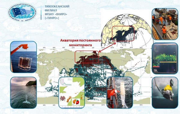Научные специалисты ТИНРО сформировали приоритетные направления исследований на 2025 год