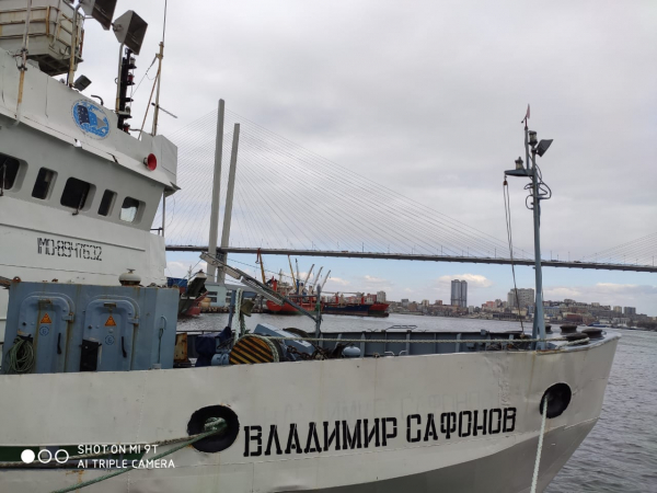 Наука подсчитала рыб и беспозвоночных в Японском море