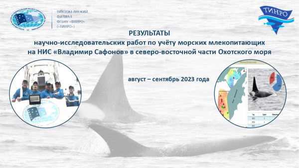 Специалисты «ТИНРО» собрали актуальную информацию о состоянии запасов морских млекопитающих в Охотском море